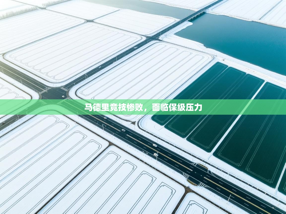 开云体育登录入口-马德里竞技惨败,面临保级压力 第4张