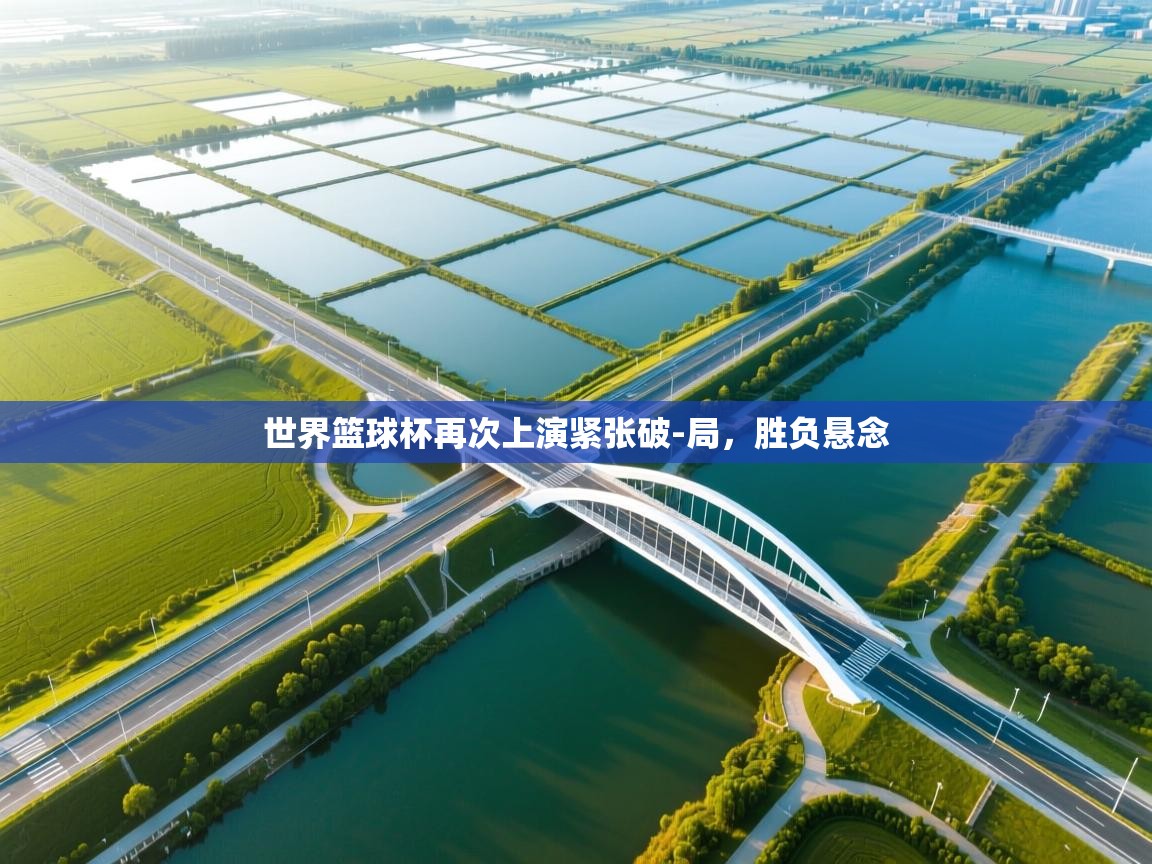 开云体育app官网下载地址-世界篮球杯再次上演紧张破-局，胜负悬念  第4张