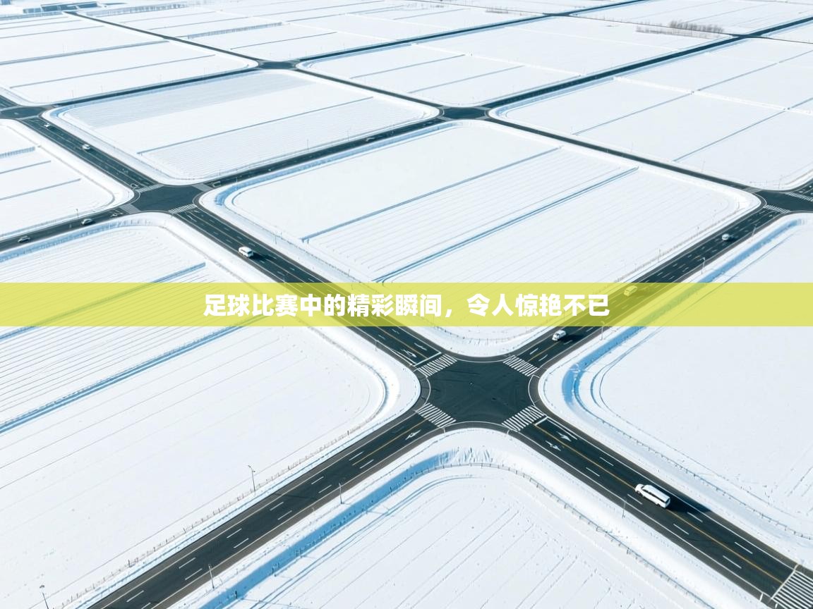 开云体育忘记密码找回-足球比赛中的精彩瞬间,令人惊艳不已 第2张