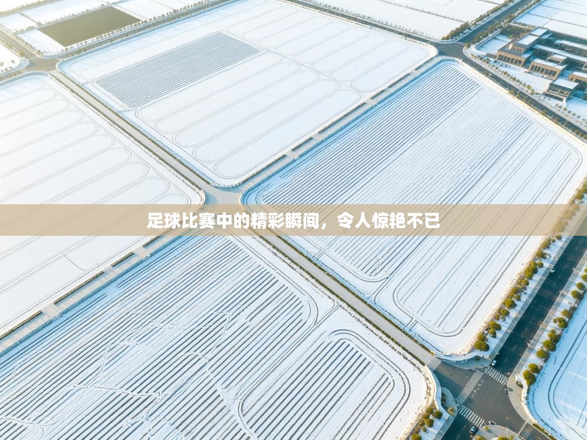 开云体育忘记密码找回-足球比赛中的精彩瞬间,令人惊艳不已 第3张