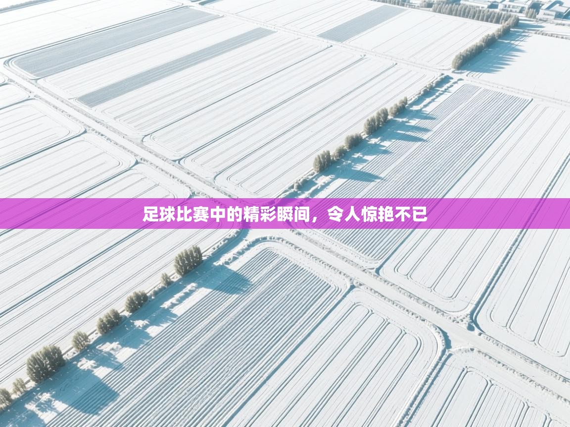 开云体育忘记密码找回-足球比赛中的精彩瞬间,令人惊艳不已 第4张